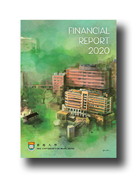 Financial Report 2020